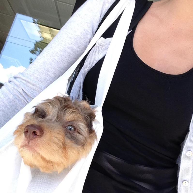 13731477_10100584075285661_7966848411476970027_n