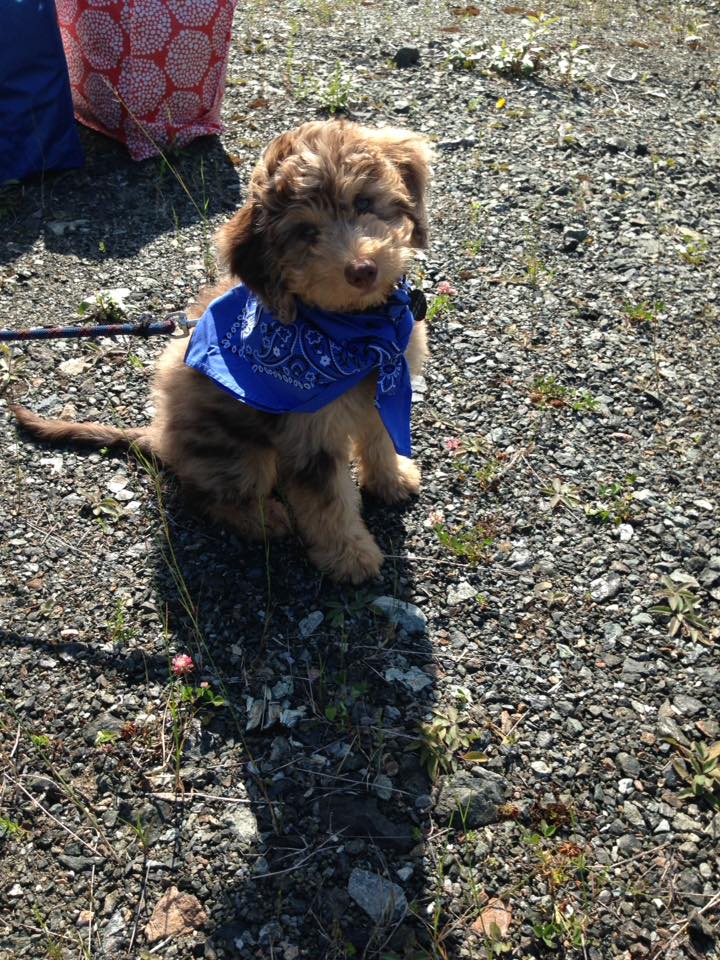 13901466_10100592381529881_7019807450838627024_n-1