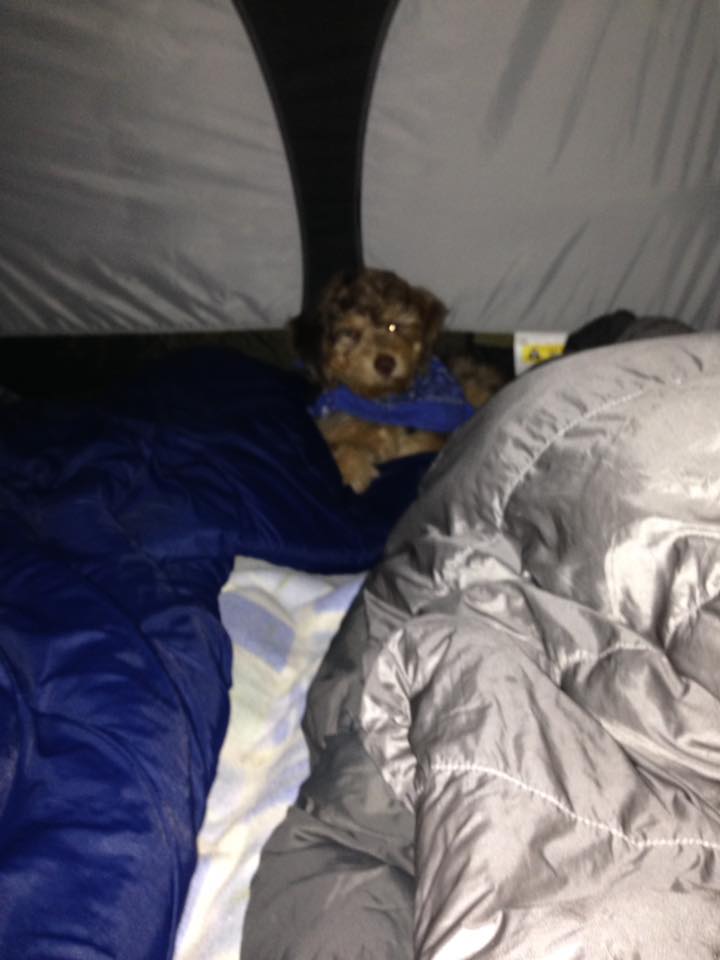 13912683_10100592382238461_7615505622408422524_n