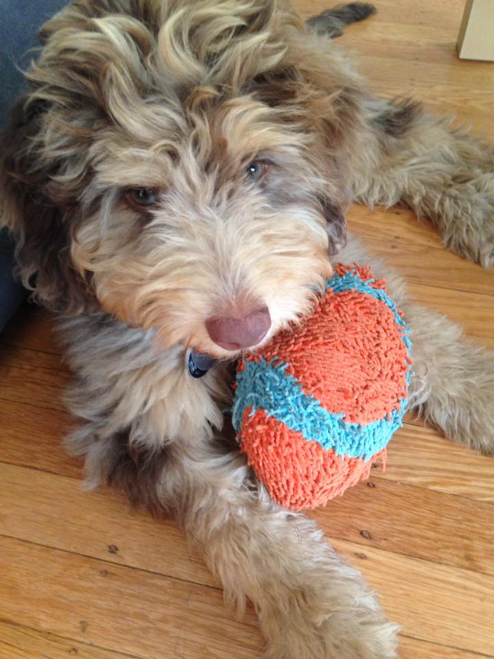 14045689_10100605907907911_3018777234596782661_n