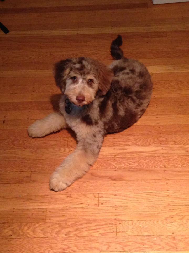 14199167_10100609872657521_6339737198832840709_n