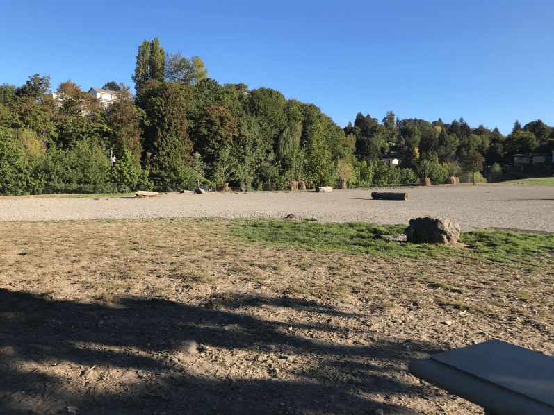 columbia-city-dog-park-01