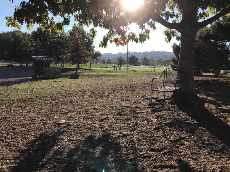 columbia-city-dog-park-02