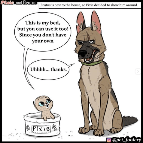 Screen Shot 2019-05-02 at 11.58.28 AM