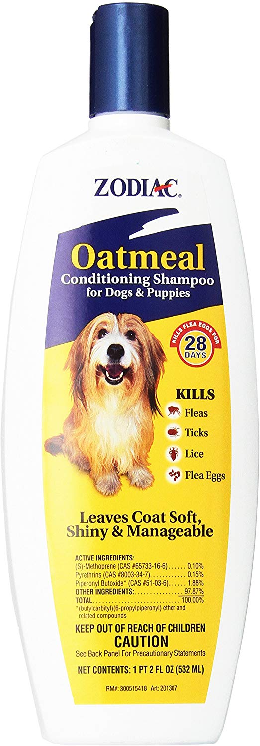 Best Dog Shampoo for Fleas