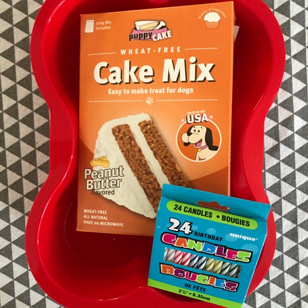 Birthday Cake Kit for Dog Birthday