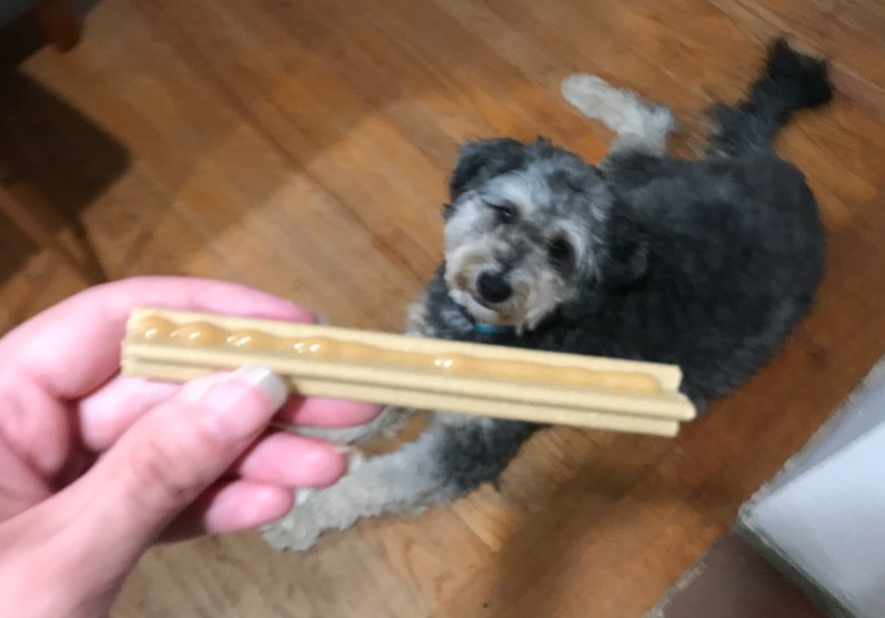 Bark Dental Chews with Toothpaste