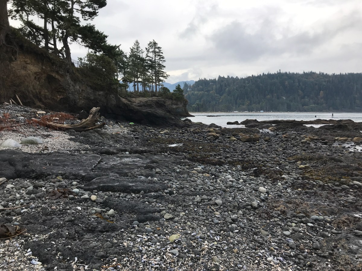 Salt Creek Recreation Area