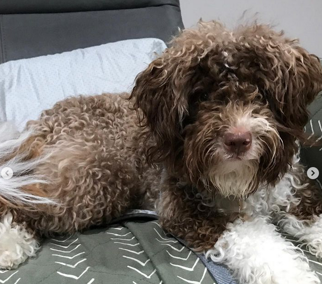 Screen Shot 2022-11-04 at 10.14.52 AM